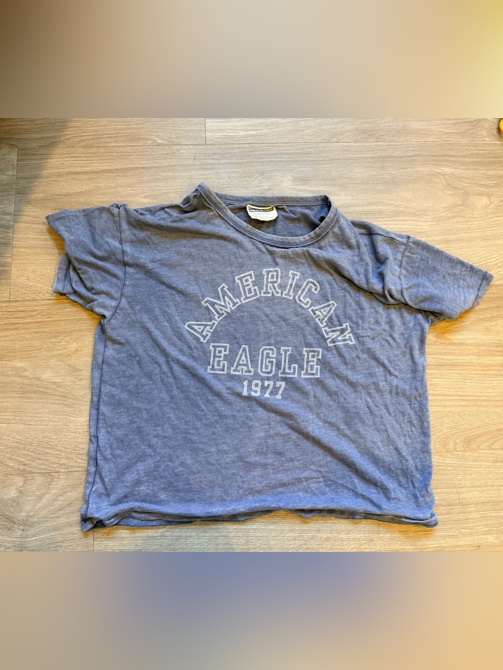 American Eagle Outfitters Blue Graphic Tee